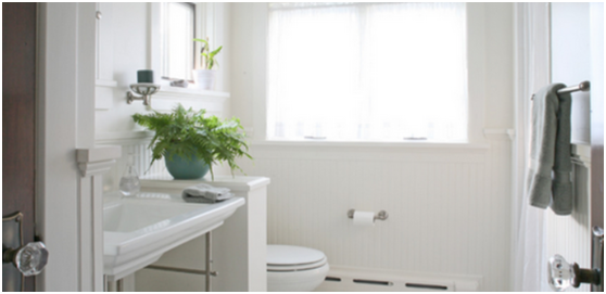 1481677208192768.png blob.png