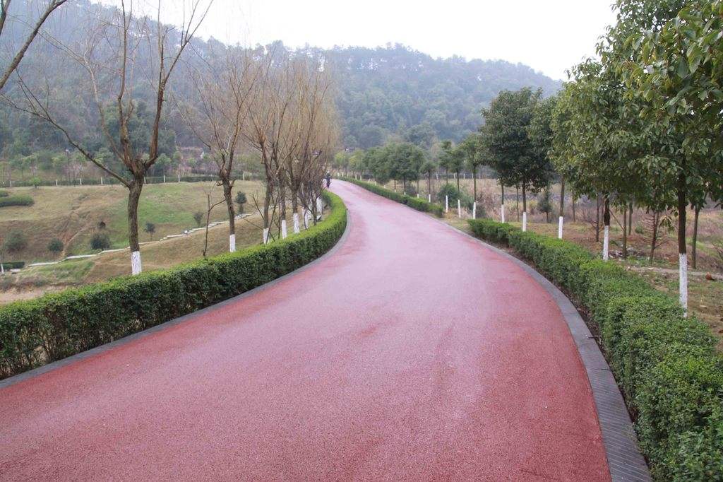 公園彩色景觀路面