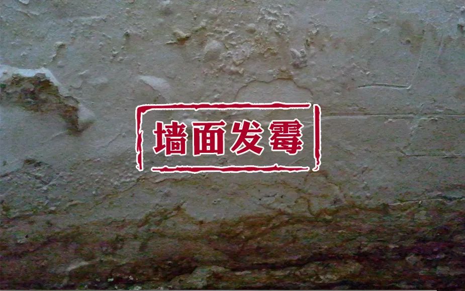 1684821212760071.jpg 1684821212760071.jpg